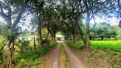 SE VENDE HACIENDA- QUINTA - FINCA O TERRENO EN EL CANTÓN SALCEDO PROVINCIA DE COTOPAXI.