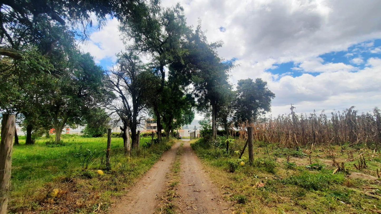 SE VENDE HACIENDA- QUINTA - FINCA O TERRENO EN EL CANTÓN SALCEDO PROVINCIA DE COTOPAXI.