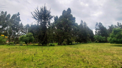 SE VENDE HACIENDA- QUINTA - FINCA O TERRENO EN EL CANTÓN SALCEDO PROVINCIA DE COTOPAXI.