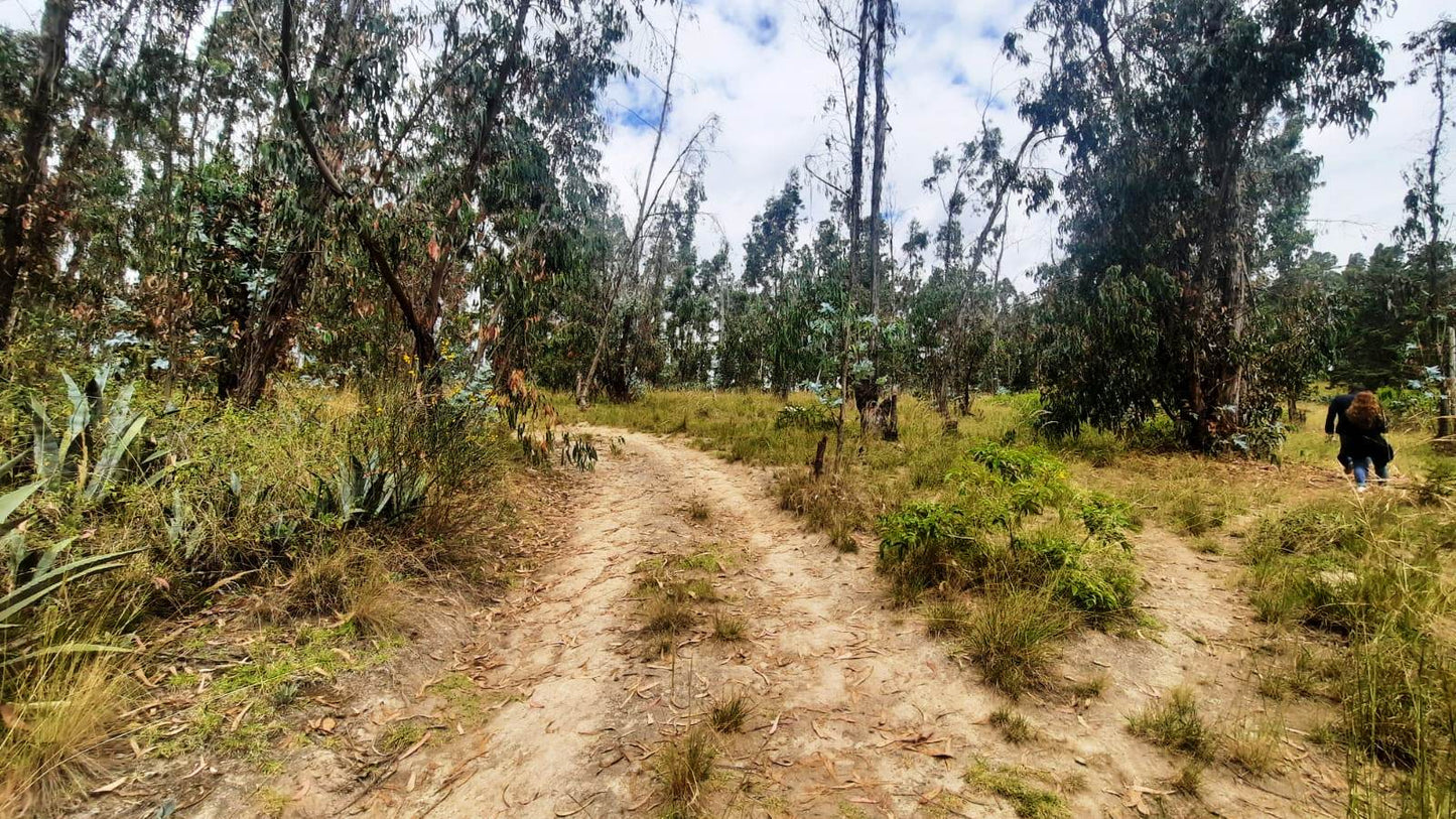 SE VENDE HACIENDA- QUINTA - FINCA O TERRENO EN EL CANTÓN SALCEDO PROVINCIA DE COTOPAXI.