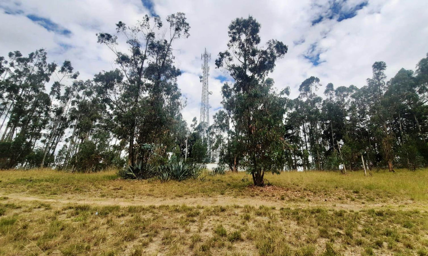 SE VENDE HACIENDA- QUINTA - FINCA O TERRENO EN EL CANTÓN SALCEDO PROVINCIA DE COTOPAXI.