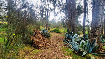 SE VENDE HACIENDA- QUINTA - FINCA O TERRENO EN EL CANTÓN SALCEDO PROVINCIA DE COTOPAXI.