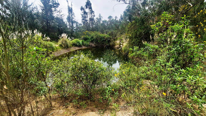 SE VENDE HACIENDA- QUINTA - FINCA O TERRENO EN EL CANTÓN SALCEDO PROVINCIA DE COTOPAXI.