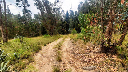 SE VENDE HACIENDA- QUINTA - FINCA O TERRENO EN EL CANTÓN SALCEDO PROVINCIA DE COTOPAXI.