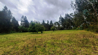 SE VENDE HACIENDA- QUINTA - FINCA O TERRENO EN EL CANTÓN SALCEDO PROVINCIA DE COTOPAXI.