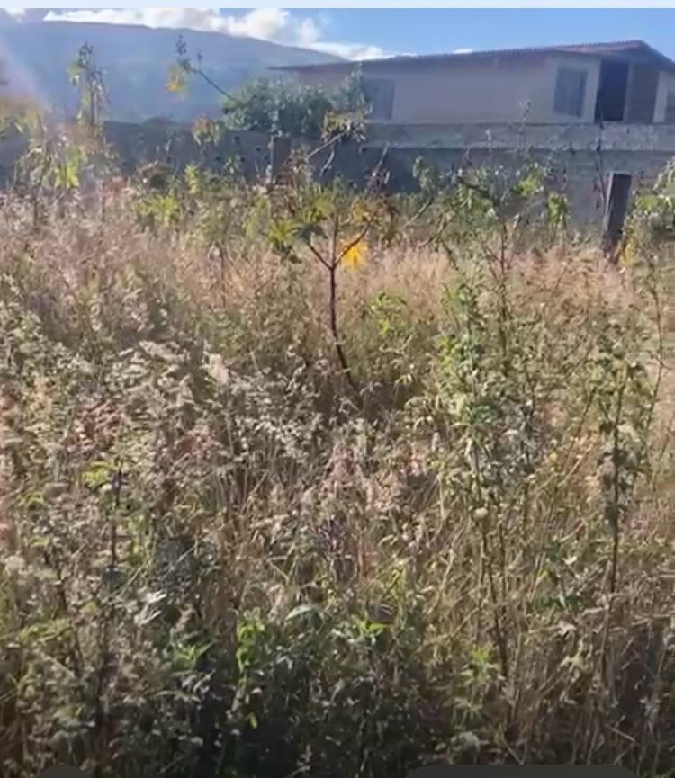 SE VENDE TERRENO SECTOR TABABELA