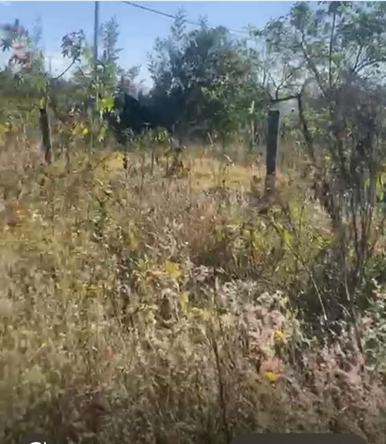 SE VENDE TERRENO SECTOR TABABELA