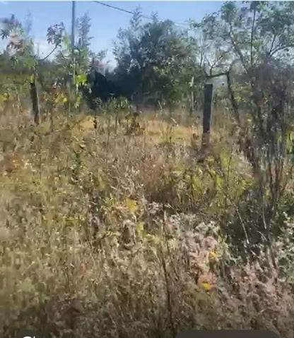 SE VENDE TERRENO SECTOR TABABELA