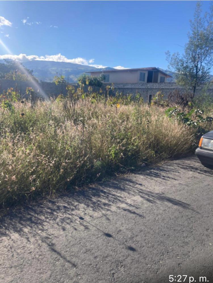 SE VENDE TERRENO SECTOR TABABELA
