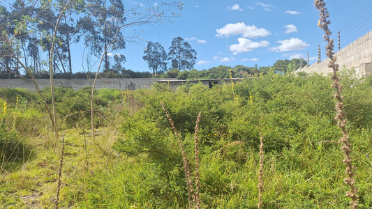 SE VENDE TERRENO EN CALDERÓN - BARRIO LA CANDELARIA.