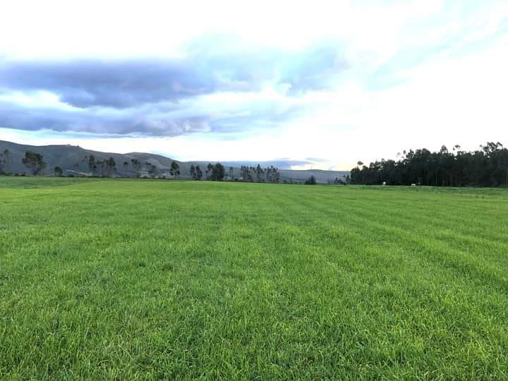 SE VENDE FINCA EN EL SECTOR DE LASSO PROVINCIA DE COTOPAXI
