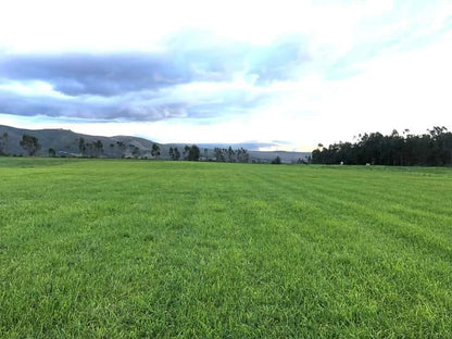 SE VENDE FINCA EN EL SECTOR DE LASSO PROVINCIA DE COTOPAXI