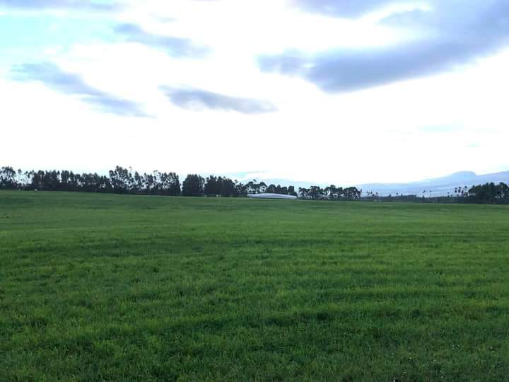 SE VENDE FINCA EN EL SECTOR DE LASSO PROVINCIA DE COTOPAXI