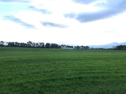 SE VENDE FINCA EN EL SECTOR DE LASSO PROVINCIA DE COTOPAXI