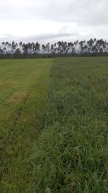 SE VENDE FINCA EN EL SECTOR DE LASSO PROVINCIA DE COTOPAXI