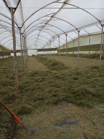 SE VENDE FINCA EN EL SECTOR DE LASSO PROVINCIA DE COTOPAXI