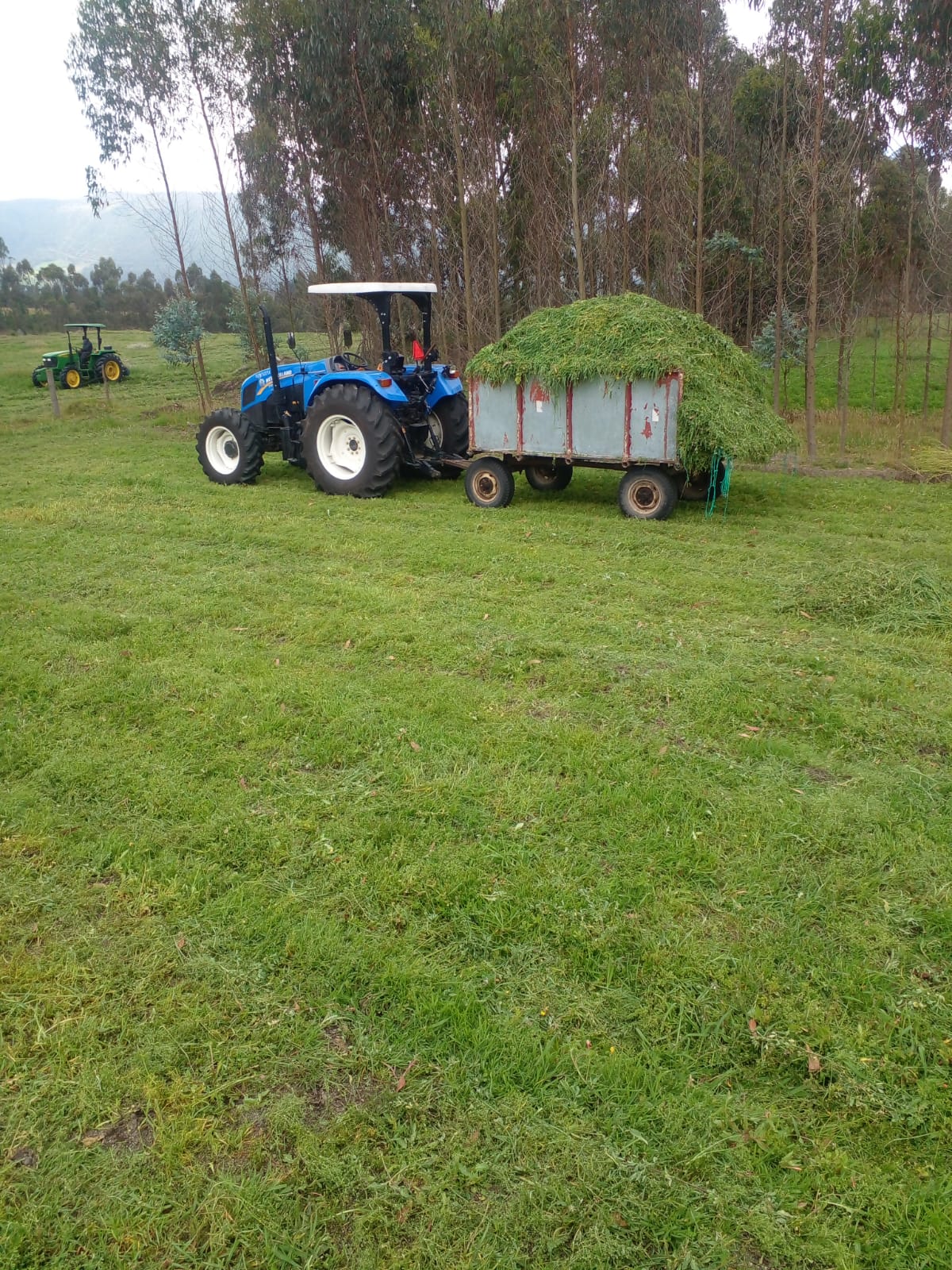 SE VENDE FINCA EN EL SECTOR DE LASSO PROVINCIA DE COTOPAXI
