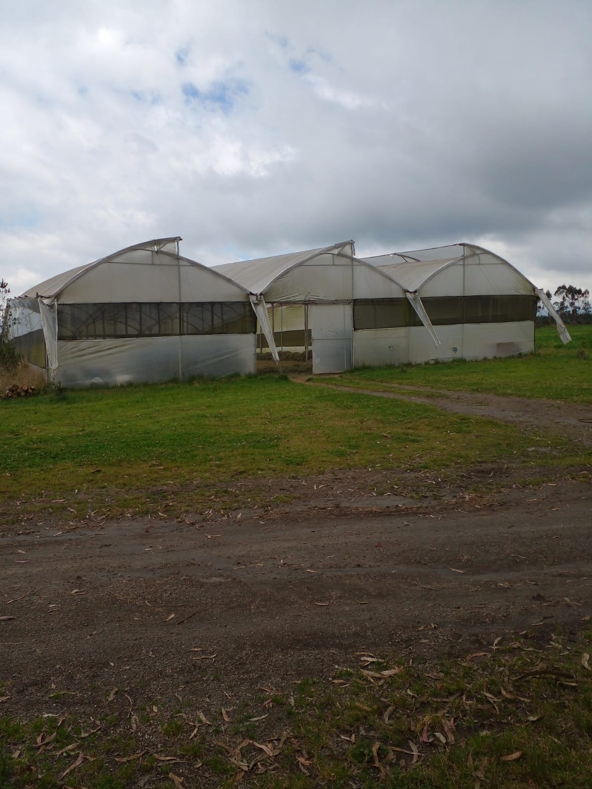 SE VENDE FINCA EN EL SECTOR DE LASSO PROVINCIA DE COTOPAXI