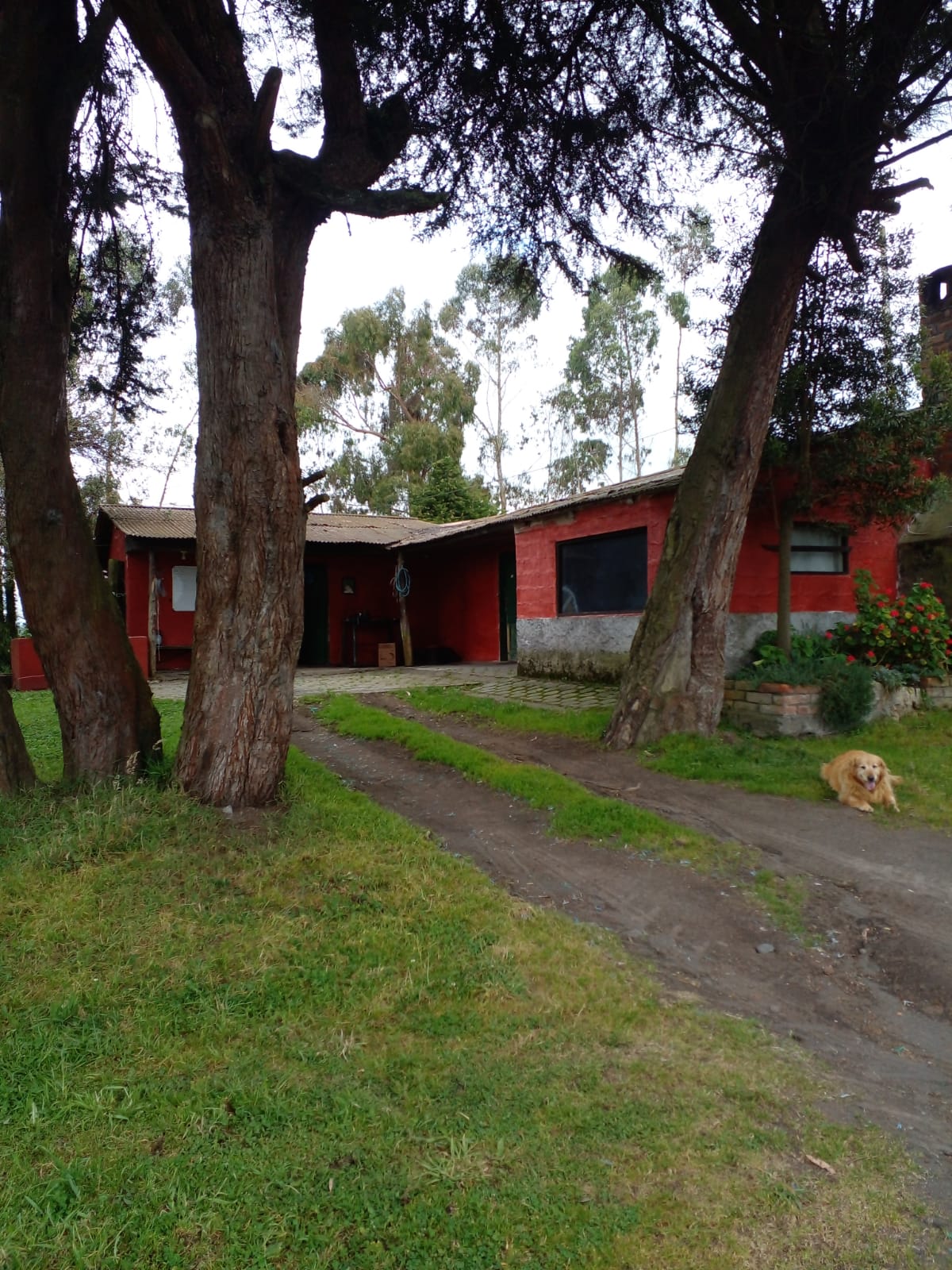 SE VENDE FINCA EN EL SECTOR DE LASSO PROVINCIA DE COTOPAXI