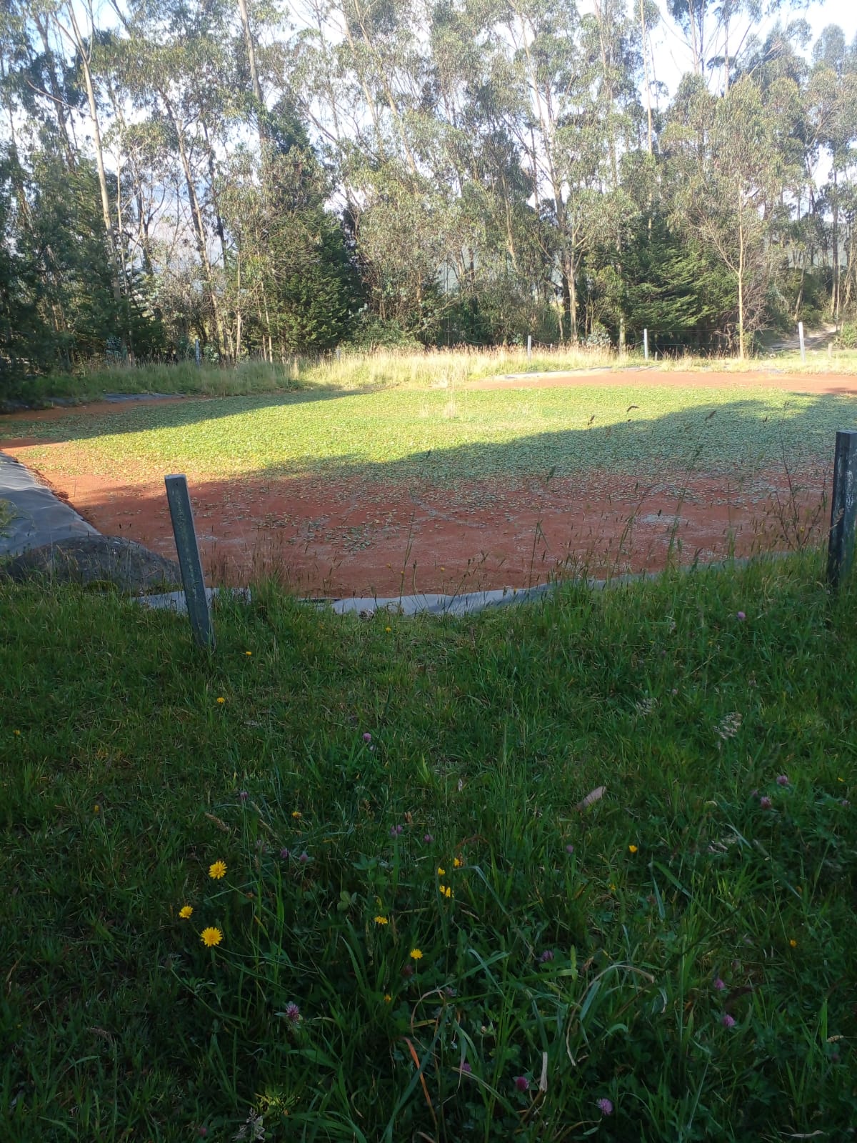 SE VENDE FINCA EN EL SECTOR DE LASSO PROVINCIA DE COTOPAXI