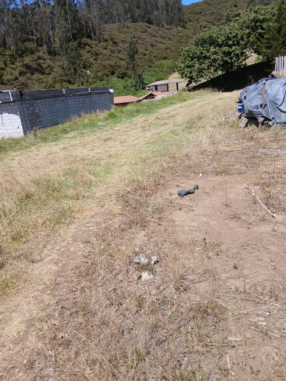 SE VENDE TERRENO EN EL SECTOR DE PIFO.
