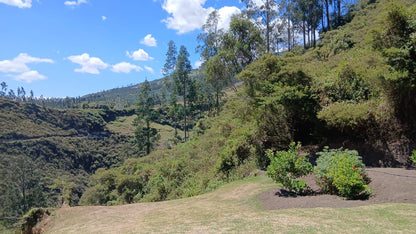 SE VENDE TERRENO EN EL SECTOR DE PIFO.