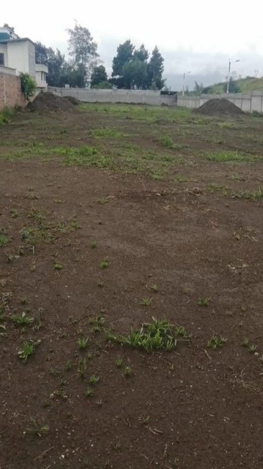 SE VENDE TERRENO SECTOR PARQUE BICENTENARIO - ANTIGUO AEROPUERTO