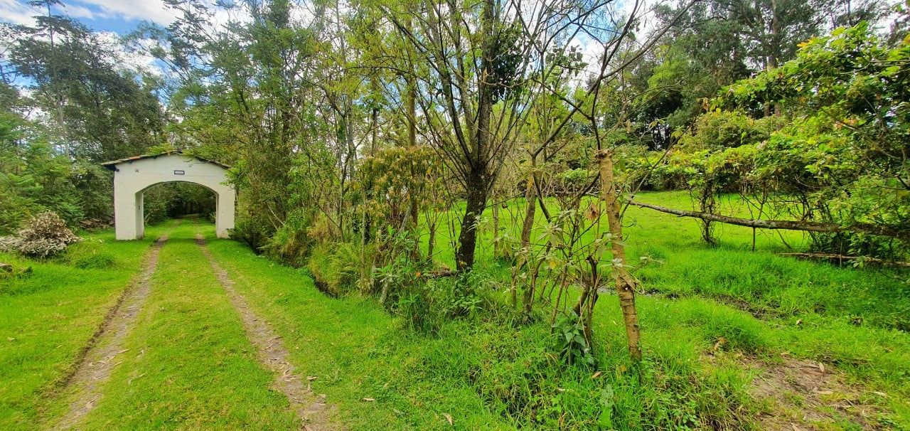 SE VENDE  QUINTA-TERRENNO CON CASA EN EL SECTOR DE AMAGUAÑA.