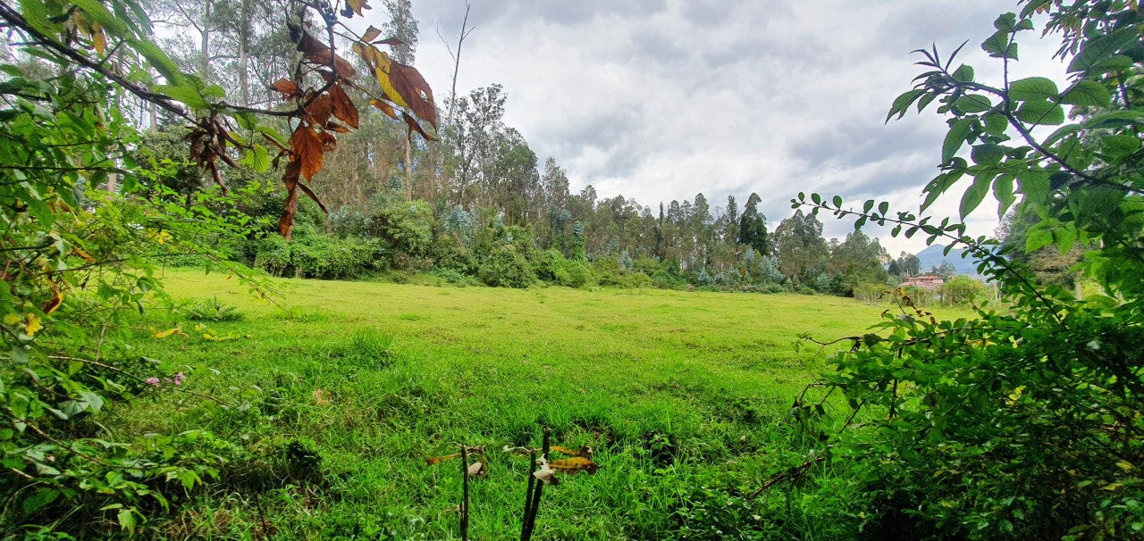 SE VENDE TERRENO EN AMAGUAÑA - CARRETERA E35