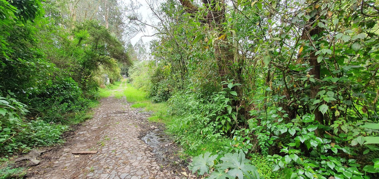 SE VENDE TERRENO EN AMAGUAÑA, A POCOS METROS DE LA VIA PRINCIPAL.