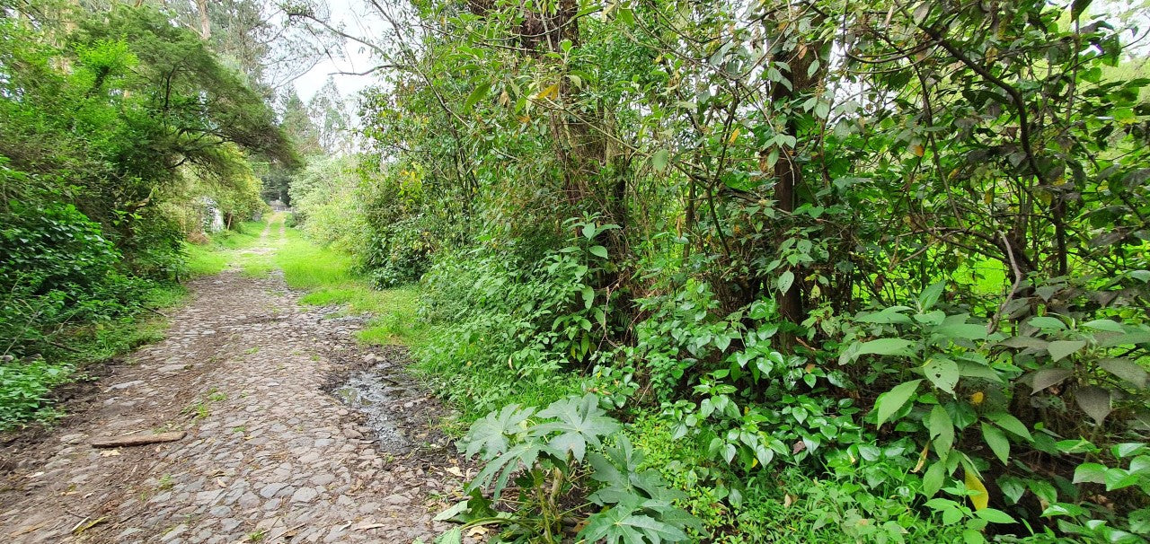 SE VENDE TERRENO EN AMAGUAÑA, A POCOS METROS DE LA VIA PRINCIPAL.