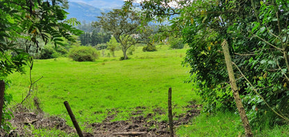 SE VENDE TERRENO EN AMAGUAÑA, A POCOS METROS DE LA VIA PRINCIPAL.