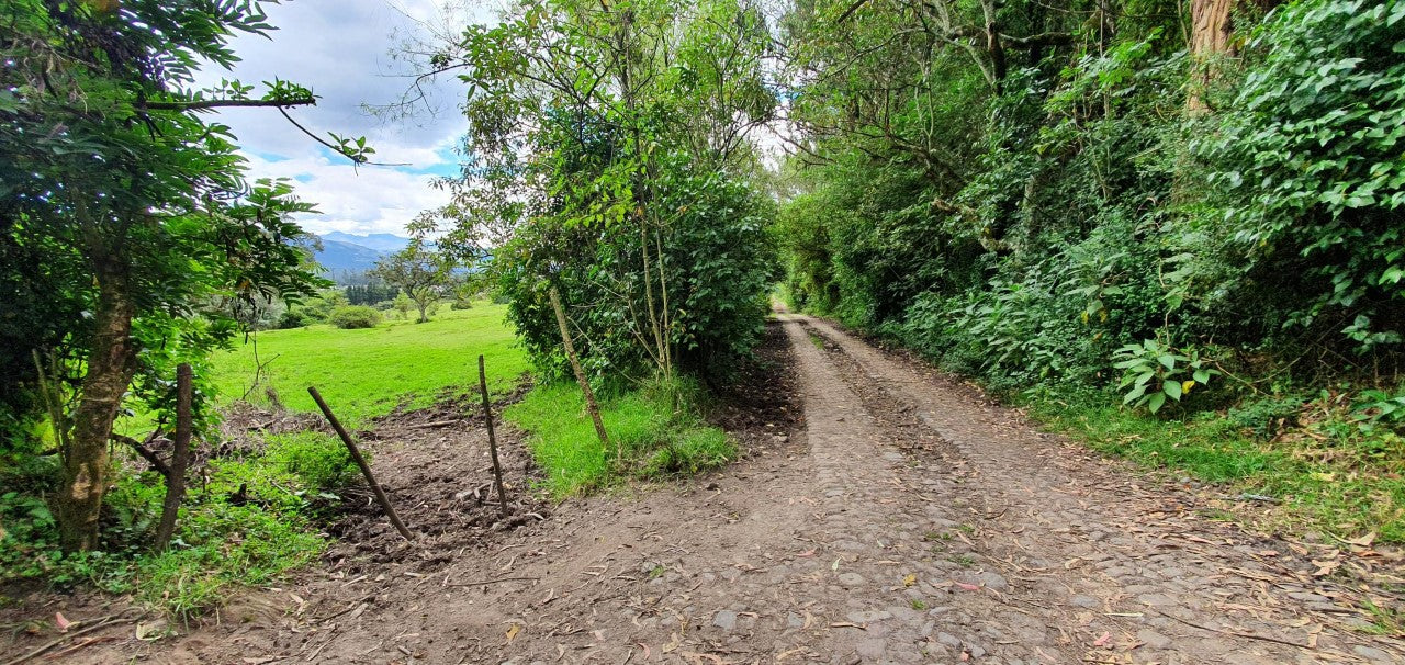 SE VENDE TERRENO EN AMAGUAÑA, A POCOS METROS DE LA VIA PRINCIPAL.