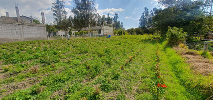 Se Vende Terreno en El Quinche