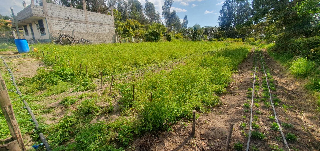 Se Vende Terreno en El Quinche