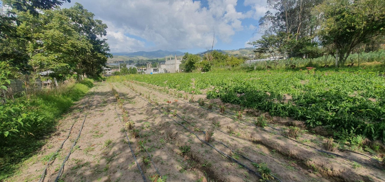 Se Vende Terreno en El Quinche