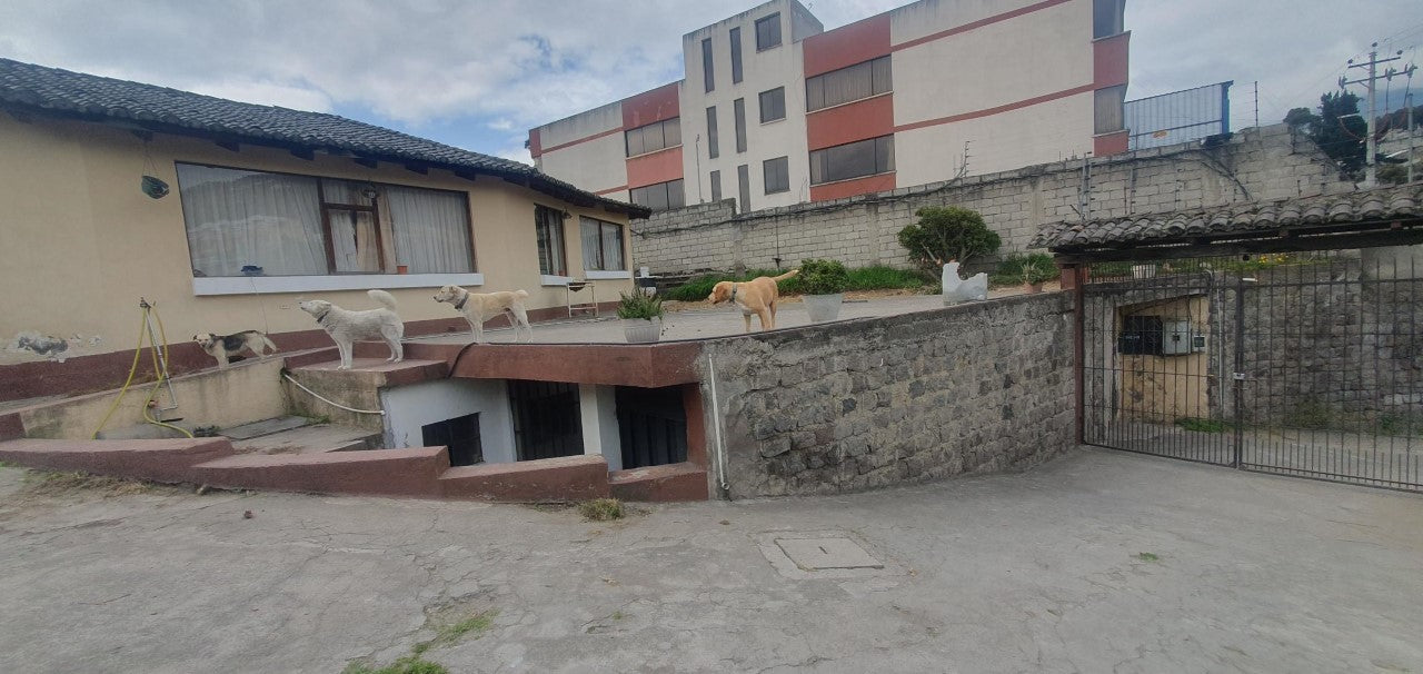 SE VENDE TERRENO SECTOR AV. OCCIDENTAL - AV. MARICAL ANTONIO JOSE DE SUCRE.