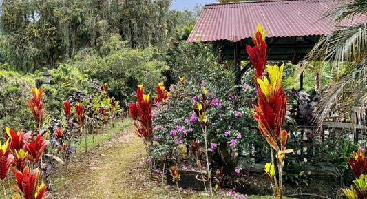 SE VENDE QUINTA O TERRENO EN MINDO - SAN MIGUEL DE LOS BANCOS.