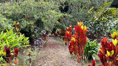 SE VENDE QUINTA O TERRENO EN MINDO - SAN MIGUEL DE LOS BANCOS.