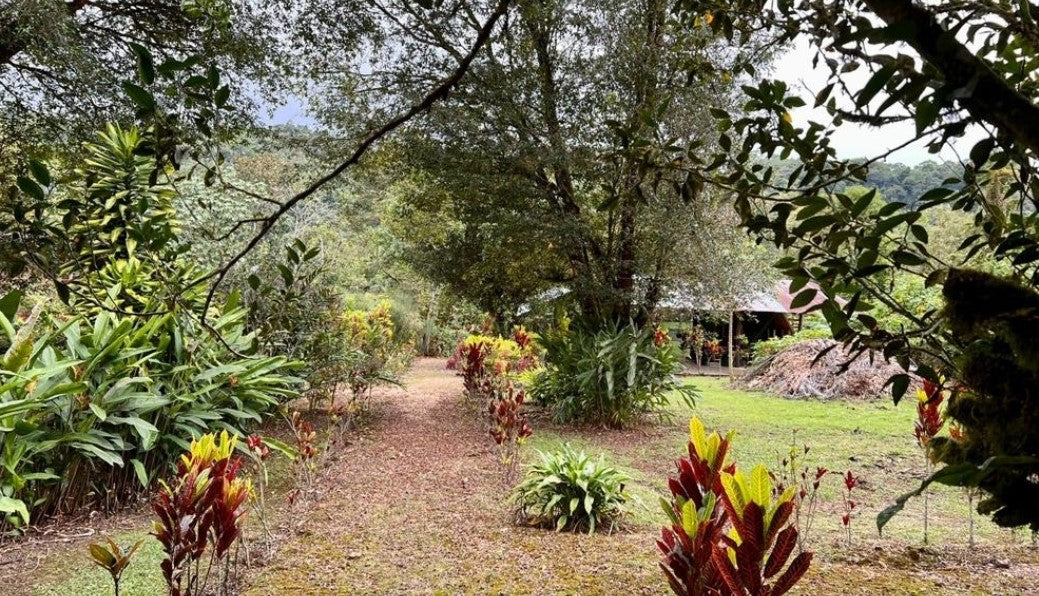 SE VENDE QUINTA O TERRENO EN MINDO - SAN MIGUEL DE LOS BANCOS.