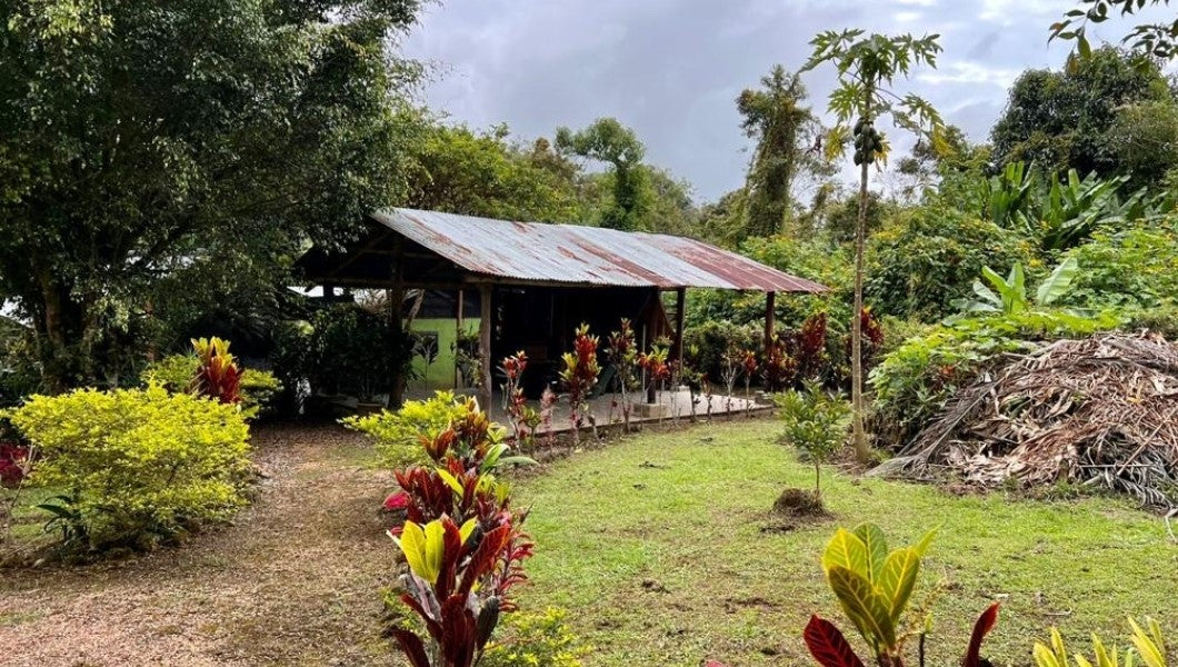 SE VENDE QUINTA O TERRENO EN MINDO - SAN MIGUEL DE LOS BANCOS.