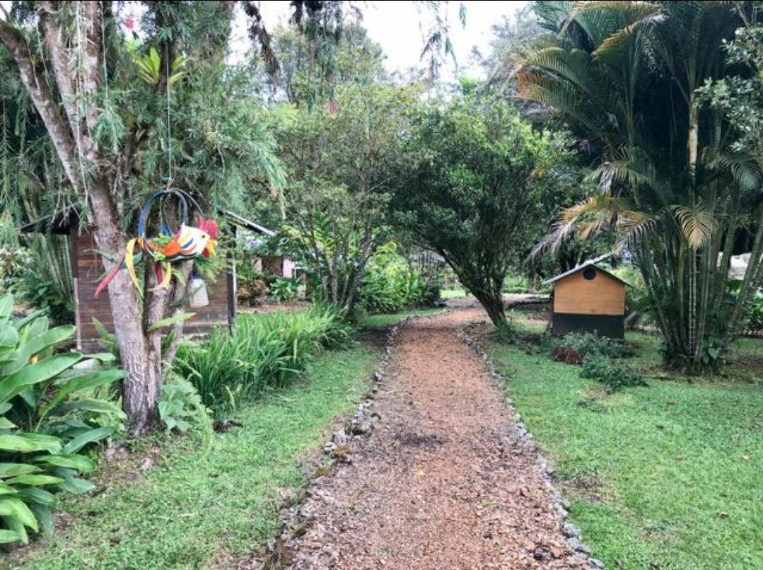 SE VENDE QUINTA O TERRENO EN MINDO - SAN MIGUEL DE LOS BANCOS.