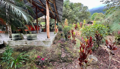 SE VENDE QUINTA O TERRENO EN MINDO - SAN MIGUEL DE LOS BANCOS.