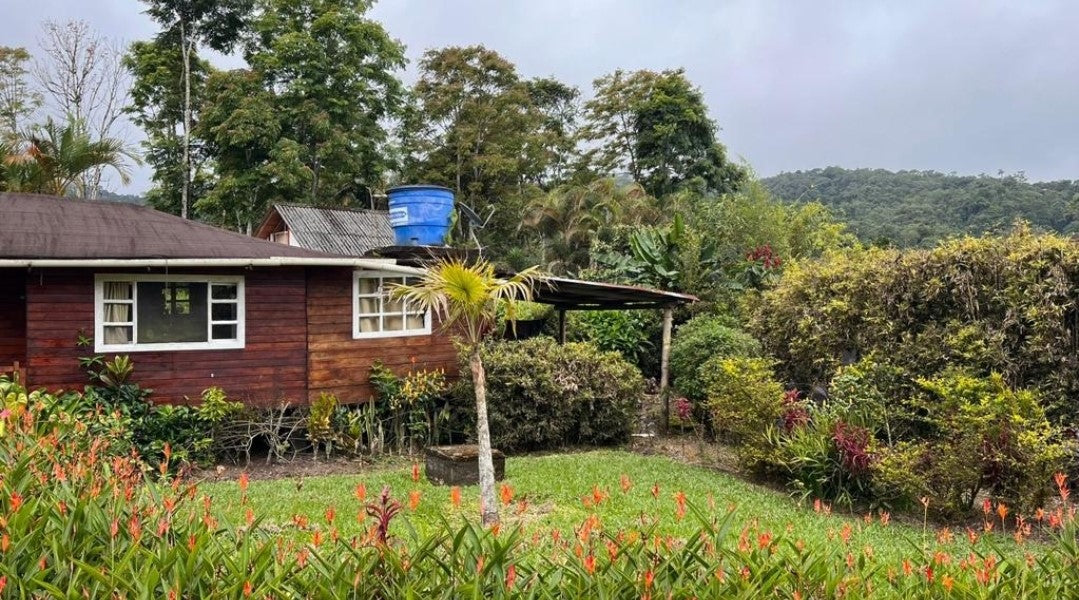 SE VENDE QUINTA O TERRENO EN MINDO - SAN MIGUEL DE LOS BANCOS.