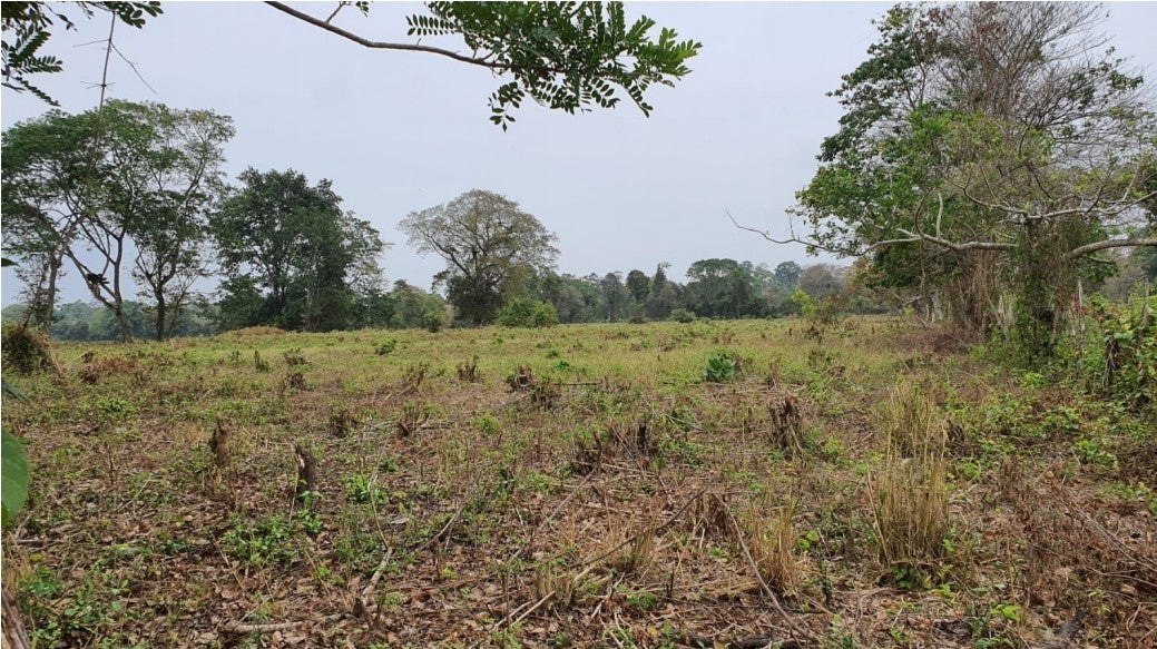 Se Vende Terreno en La Provincia de Esmeraldas.