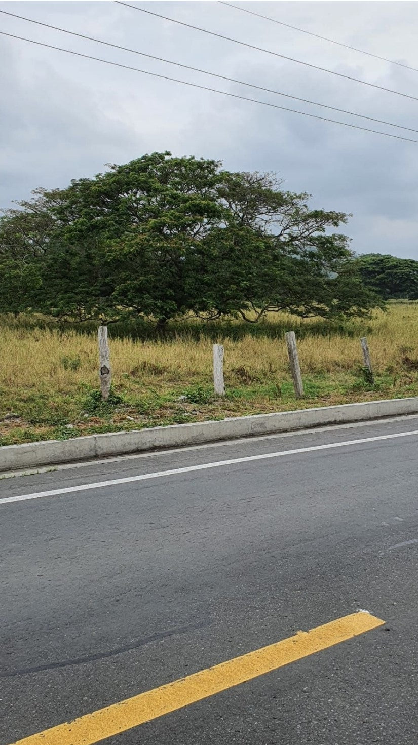 Se Vende Terreno en La Provincia de Esmeraldas.