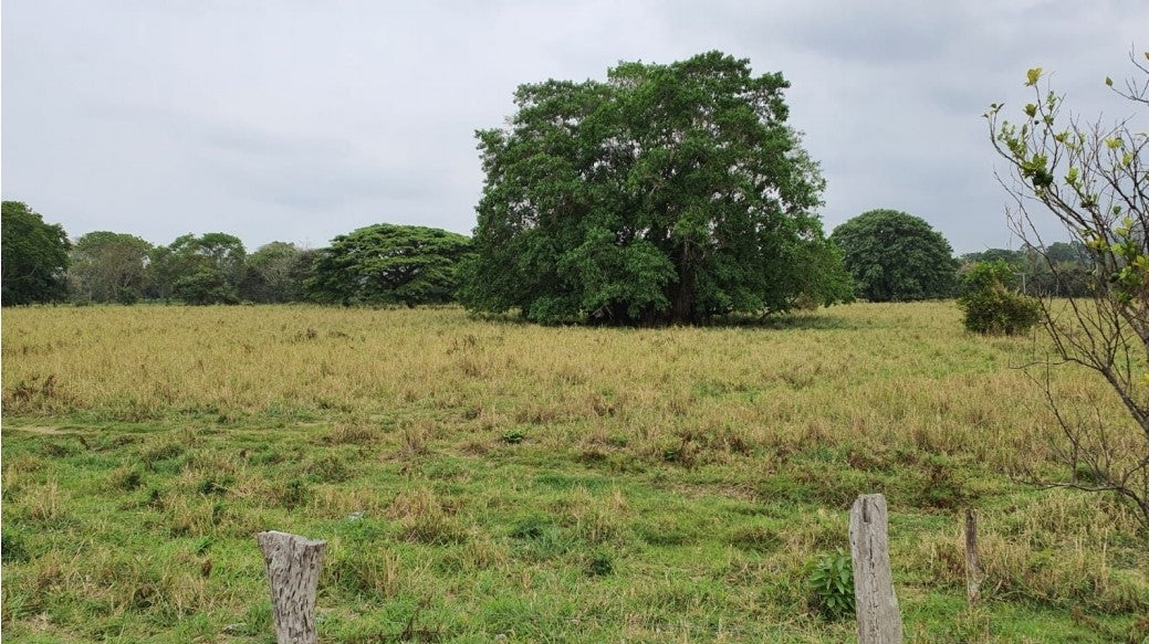 Se Vende Terreno en La Provincia de Esmeraldas