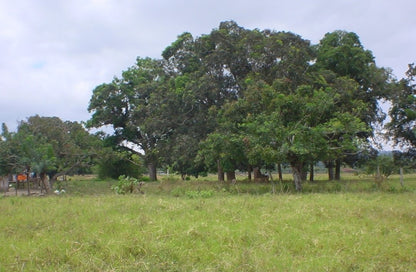 Se Vende Terreno en La Provincia de Esmeraldas.