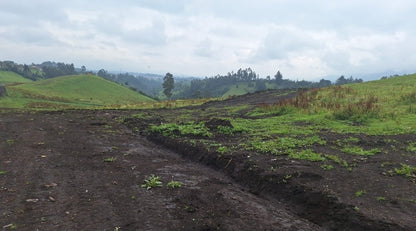 SE VENDE LOTES DE TERRENO EN EL SECTOR DE PINTAG