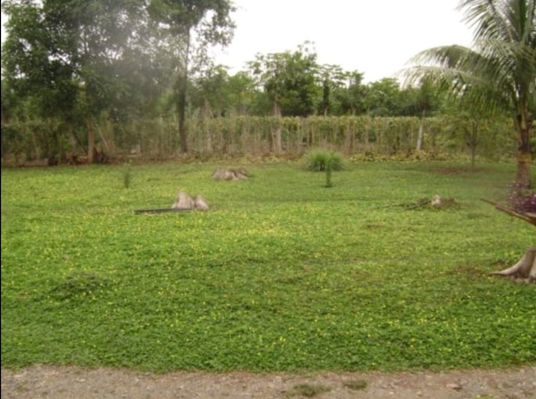 Se Vende Finca en El Empalme Provincia del Guayas